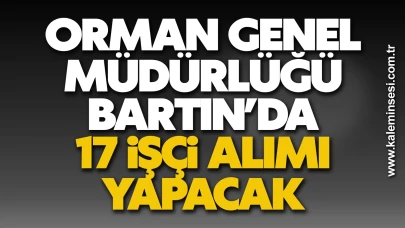 Orman Genel Müdürlüğü, Bartın’da 17 Geçici İşçi Alımı Yapacak