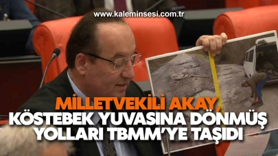 Köstebek yuvasına dönmüş yolları TBMM’ye taşıdı