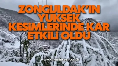 Zonguldak’ın yüksek kesimlerinde kar etkili oldu