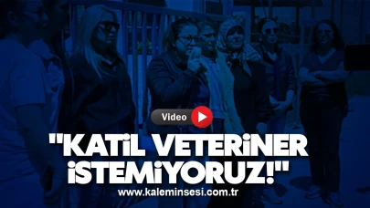 Zonguldak'ta hayvanseverlerden veteriner müdürlüğüne protesto!
