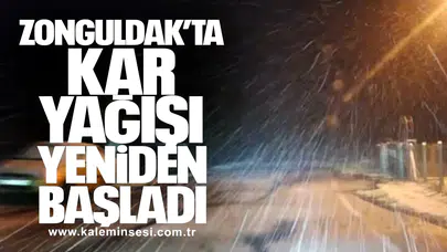 Zonguldak’ta Kar Yağışı Yeniden Başladı