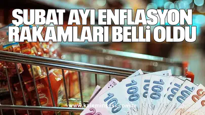 Şubat ayı enflasyon rakamları belli oldu