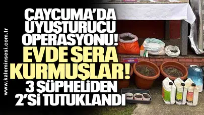 Çaycuma’da Uyuşturucu Operasyonu: Evde Sera Kurmuşlar