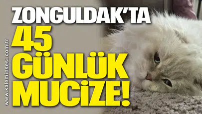 Zonguldak’ta 45 günlük mucize!