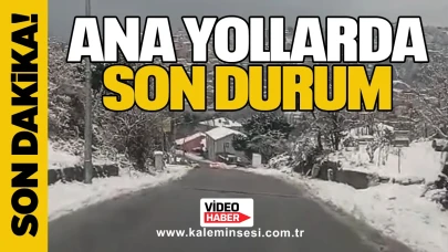 Zonguldak’ta kar yağışı sonrası ana yollarda son durum
