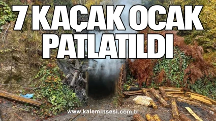 7 Kaçak ocak patlatıldı