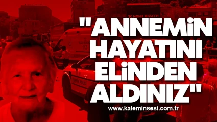 "Annemin hayatını elinden aldınız"