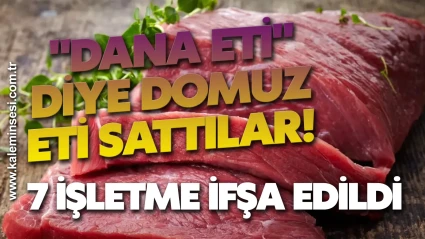 "Dana Eti" Diye Domuz Eti Sattılar! 7 İşletme İfşa Edildi