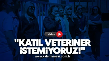 Zonguldak'ta hayvanseverlerden veteriner müdürlüğüne protesto!