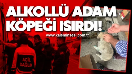 Alkollü adam köpeği ısırdı!