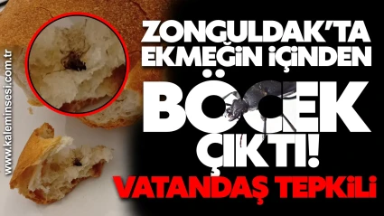 ZONGULDAK’TA EKMEĞİN İÇİNDEN BÖCEK ÇIKTI! VATANDAŞ TEPKİLİ
