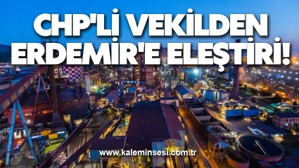 CHP'li vekilden Erdemir'e eleştiri!