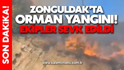Zonguldak'ta orman yangını! Ekipler sevk edildi