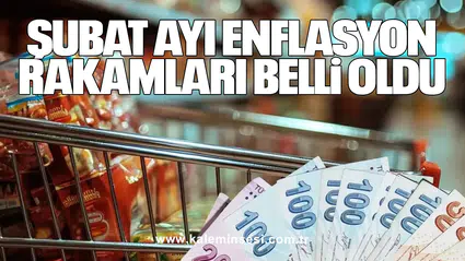 Şubat ayı enflasyon rakamları belli oldu