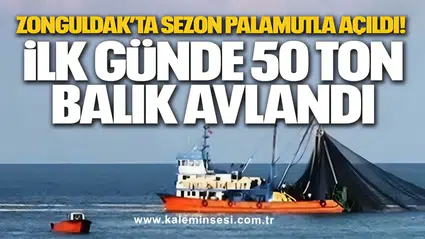 Zonguldak’ta Sezon Palamutla Açıldı! İlk Günde 50 Ton Balık Avlandı