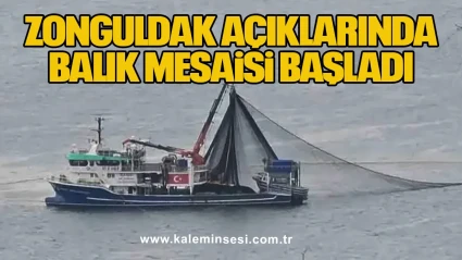 Zonguldak Açıklarında Balık Mesaisi Başladı