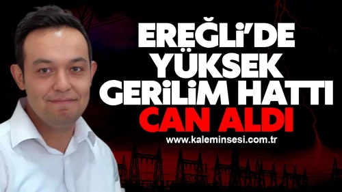 Ereğli’de Yüksek Gerilim Hattı Can Aldı