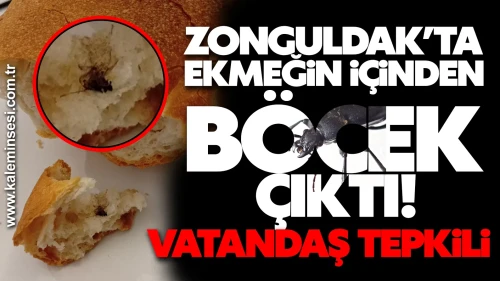 ZONGULDAK’TA EKMEĞİN İÇİNDEN BÖCEK ÇIKTI! VATANDAŞ TEPKİLİ