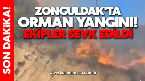 Zonguldak'ta orman yangını! Ekipler sevk edildi