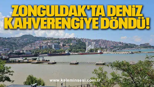 Zonguldak'ta Deniz Kahverengiye Döndü!