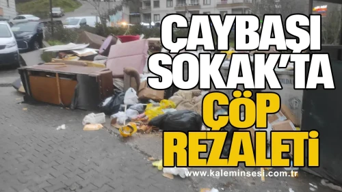 Zonguldak İncivez Mahallesi Çaybaşı Sokak’ta Çöp Rezaleti