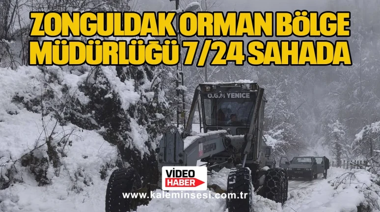 Zonguldak Orman Bölge Müdürlüğü 7/24 Sahada