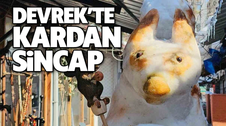 Kardan sincabı görenleri hayran bıraktı