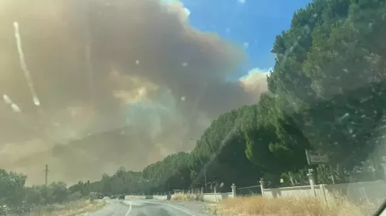 İzmir'de orman yangını! Evler tahliye ediliyor