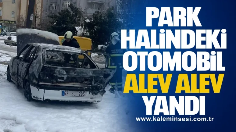 Park Halindeki Otomobil Alev Alev Yandı