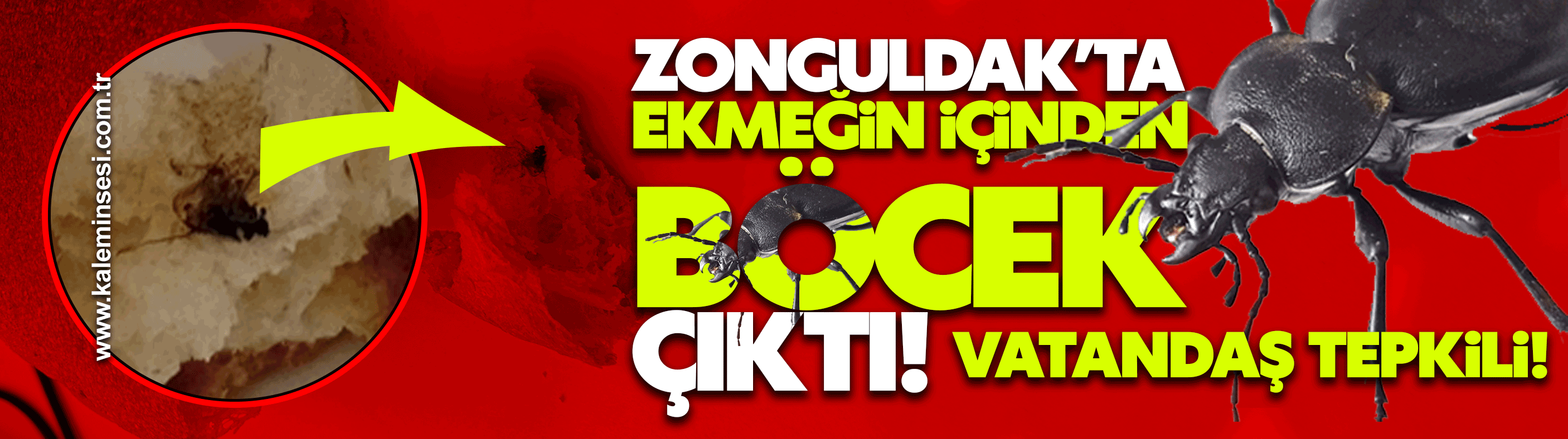 ZONGULDAK’TA EKMEĞİN İÇİNDEN BÖCEK ÇIKTI! VATANDAŞ TEPKİLİ