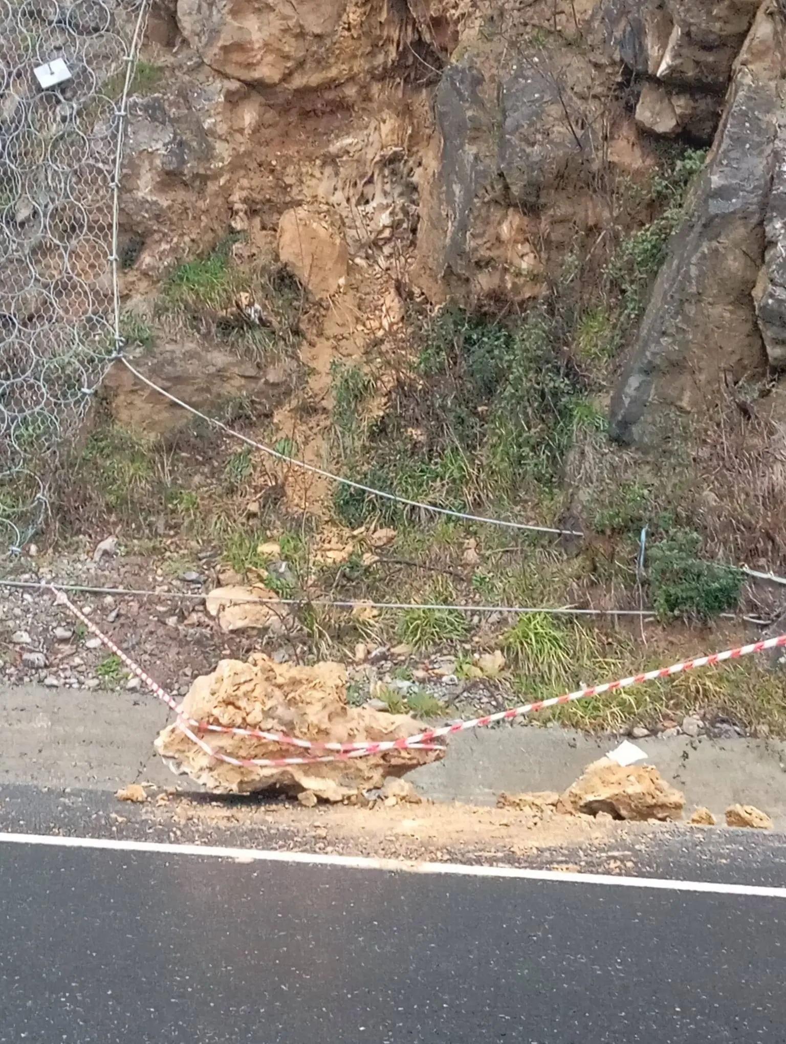 ağaç ve yol görseli olabilir