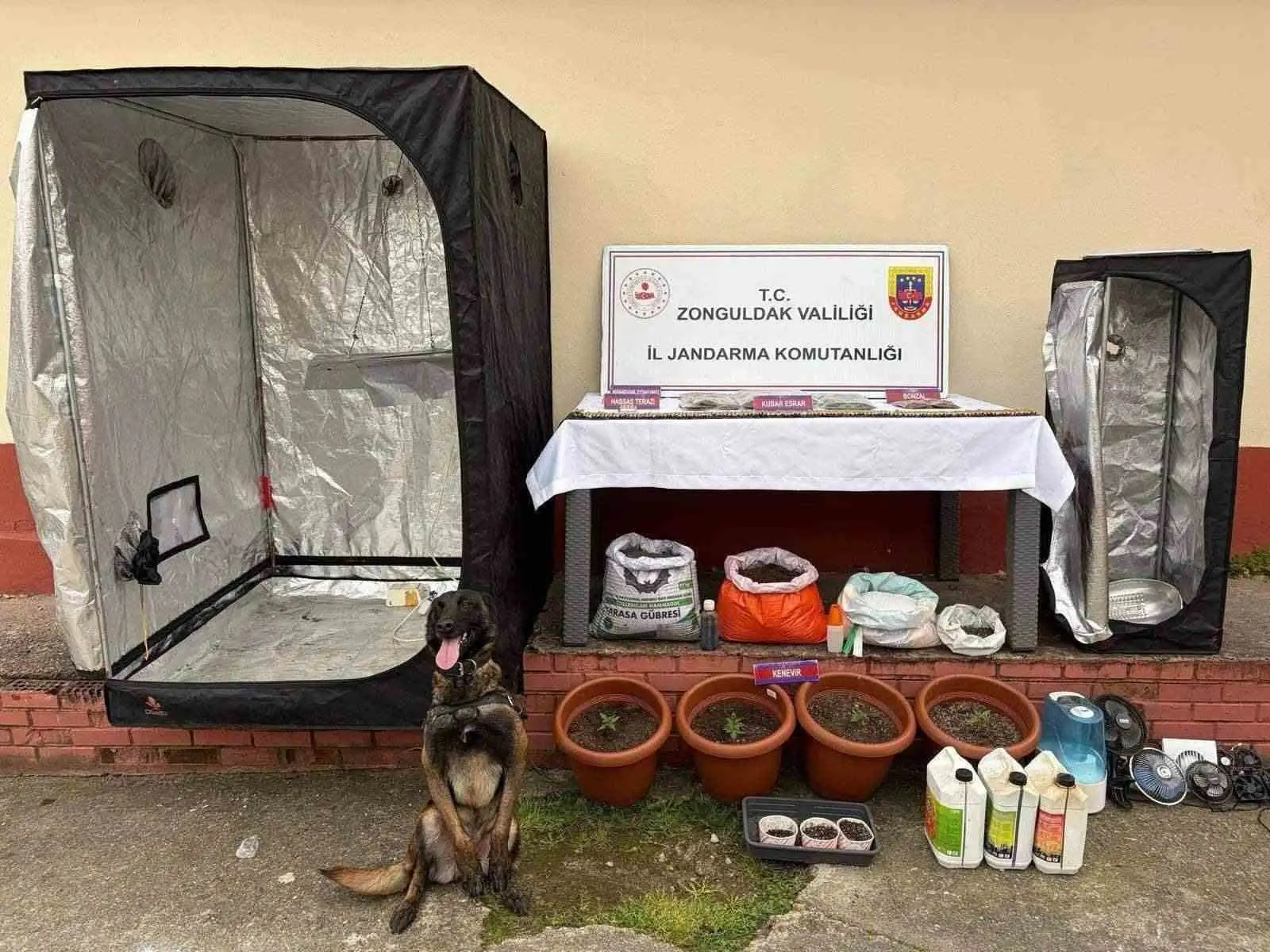 Zonguldak’ta jandarmanın uyuşturucu operasyonunda 2 şüpheli tutuklandı